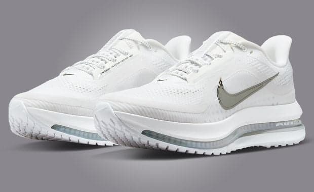 Nike Pegasus Premium White Metallic