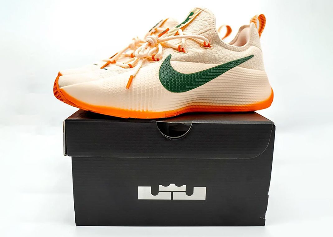 Nike LeBron TR 1 FAMU