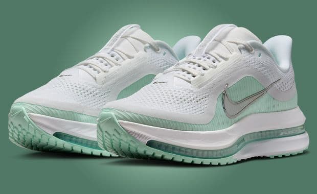 Nike Pegasus Premium White Mint Foam