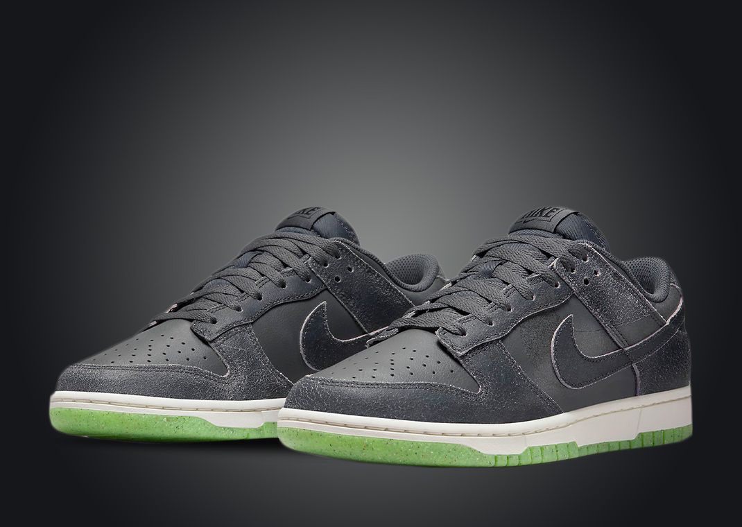 Nike Dunk Low Retro Premium Iron Grey