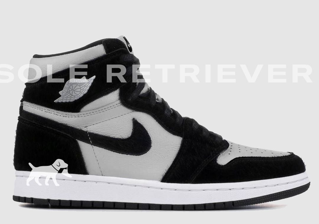 Air Jordan 1 Retro High OG Twist 2.0 (W)