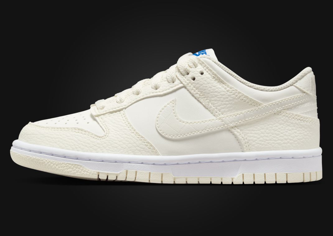 Nike Dunk Low SE Back To School Sail (GS) Lateral