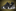 deion sanders shoes size 12