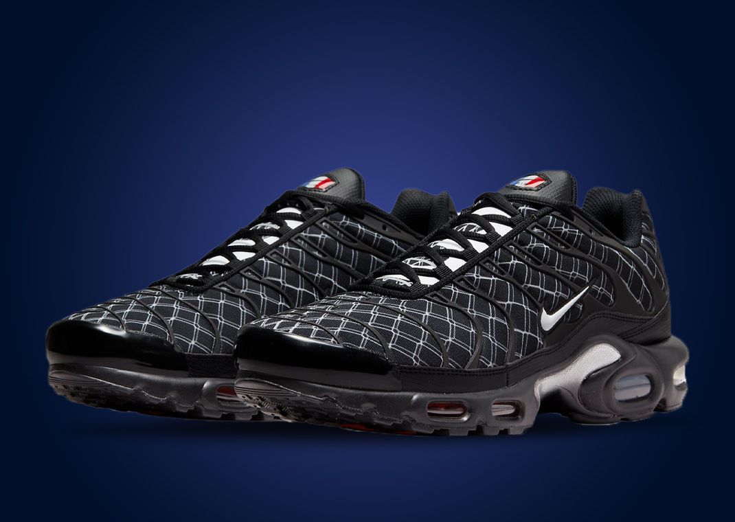 Nike Air Max Plus "France"