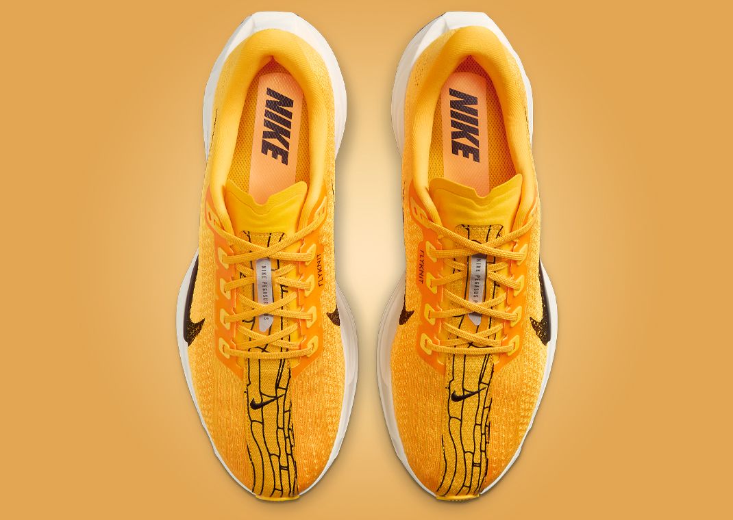 Nike Pegasus Plus Modern Mayfly Top