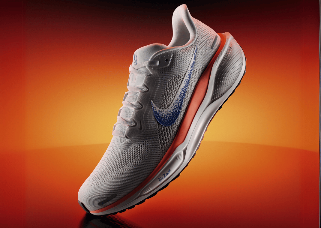 Nike Pegasus 41 Blueprint
