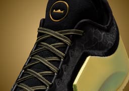 Nike LeBron 23 Elite Hurt Feelings Write History - Detail