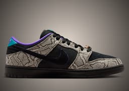 Dashawn Jordan x Nike SB Dunk Low Home Is Where The Heart Is medial