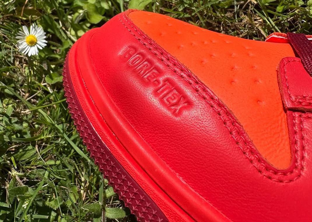 Nike Dunk Low Gore-Tex Light Crimson