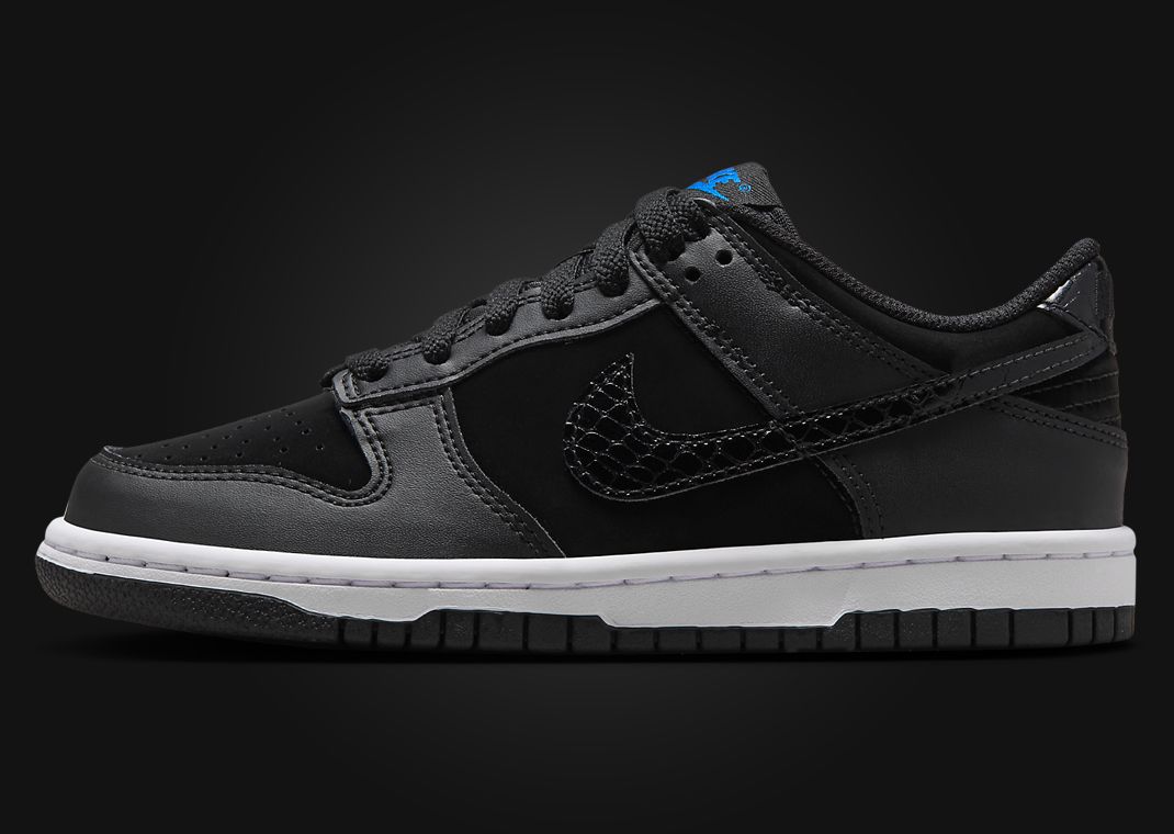Nike Dunk Low SE Back To School Black (GS) Lateral Left