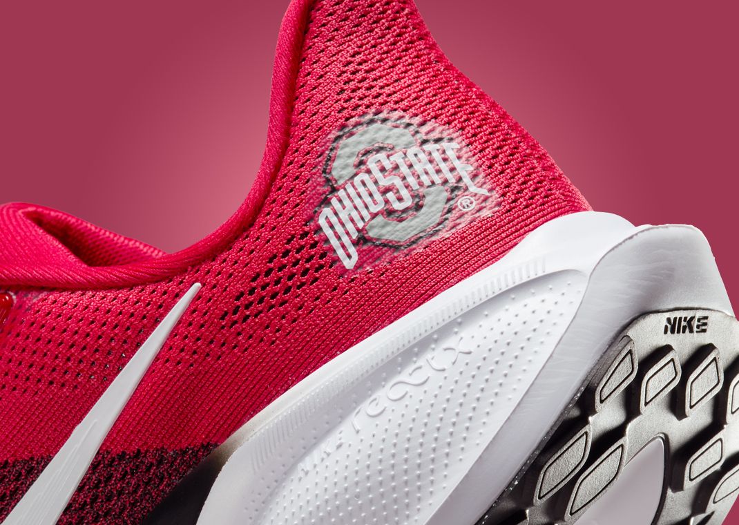 NCAA x Nike Pegasus 41 Ohio State Heel Detail