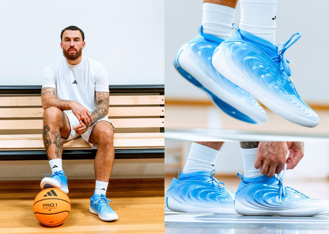 adidas Harden Vol. 10 Mike James PE