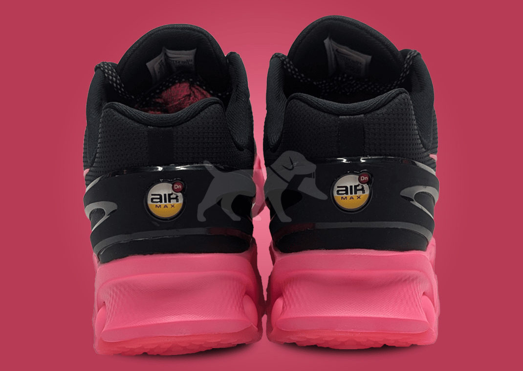 Nike Air Max DN8 Black Hyper Pink (Friends & Family)