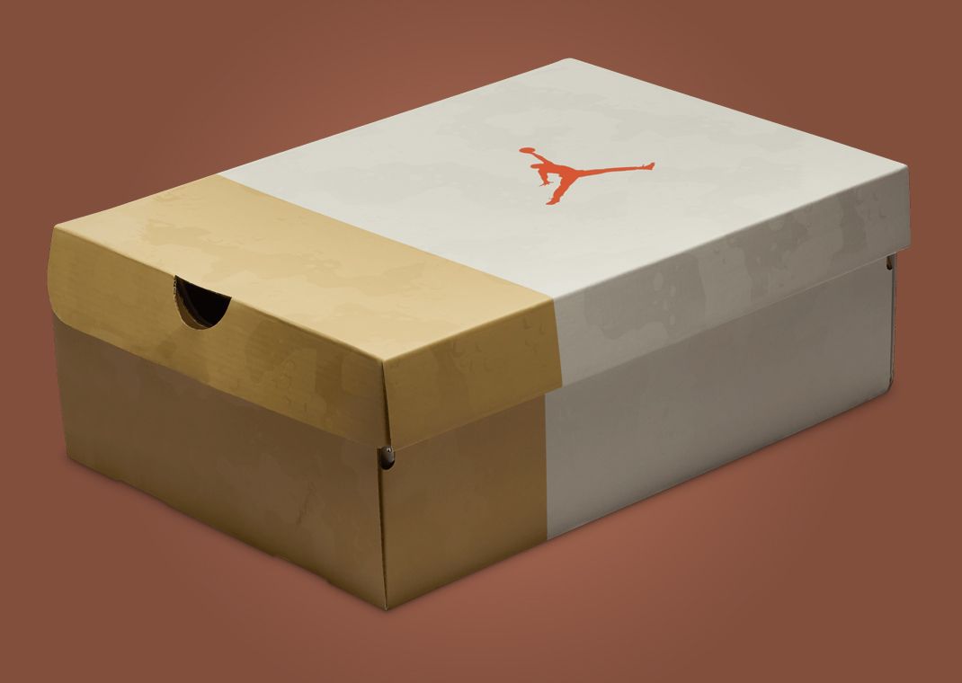 Air Jordan 3 Retro TEX WNBA Camo (W) Packaging