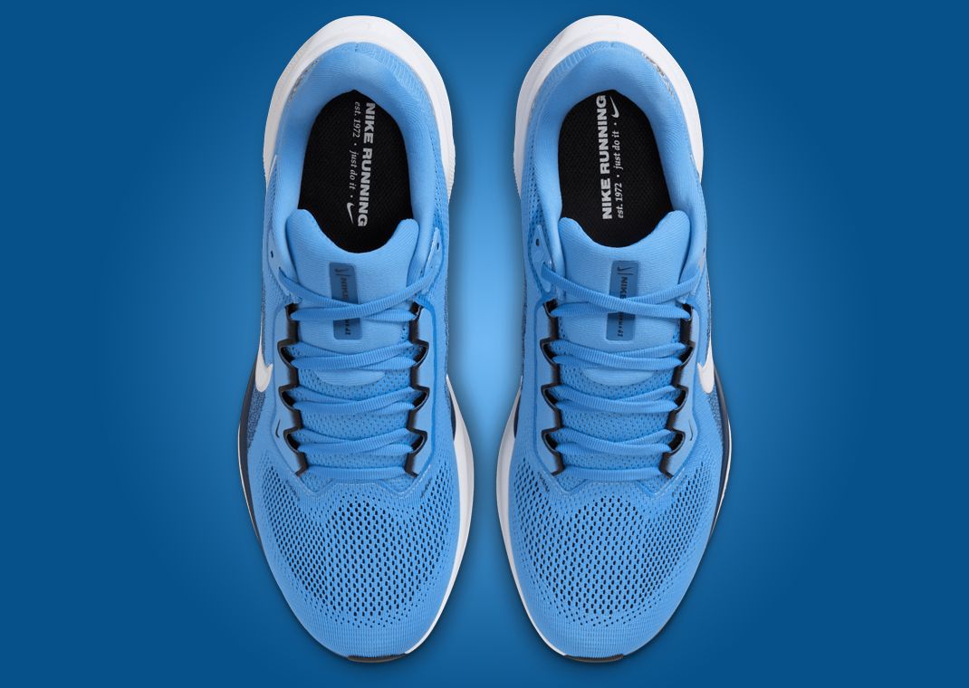 NFL x Nike Pegasus 41 Tennessee Titans Top