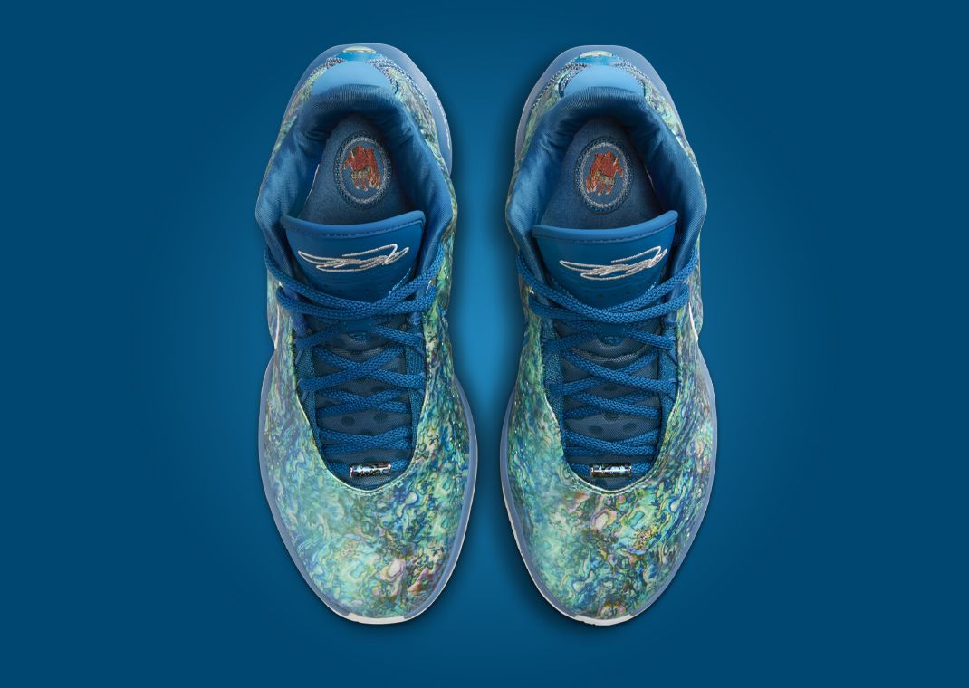 Nike LeBron 21 Abalone Top