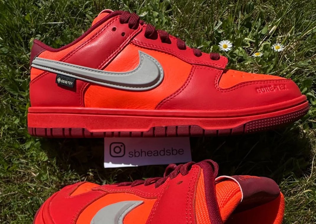 Nike Dunk Low Gore-Tex Light Crimson