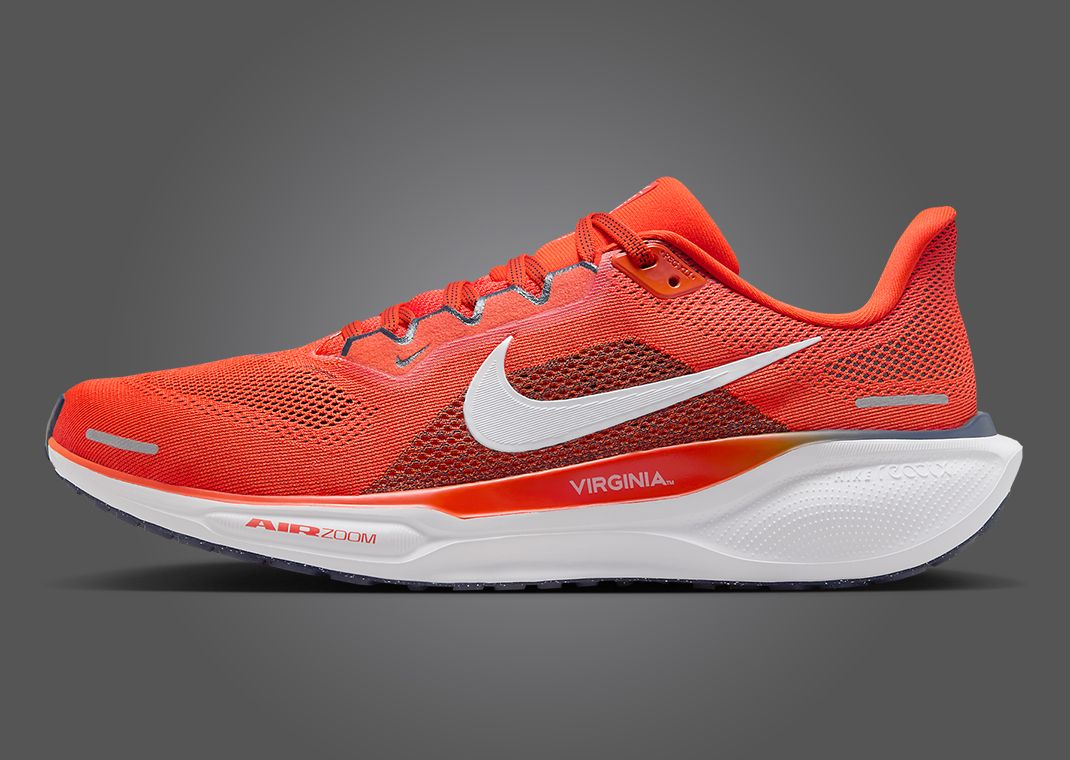 Nike Zoom Pegasus 41 Virginia