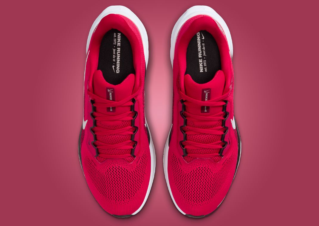 NCAA x Nike Pegasus 41 Ohio State Top
