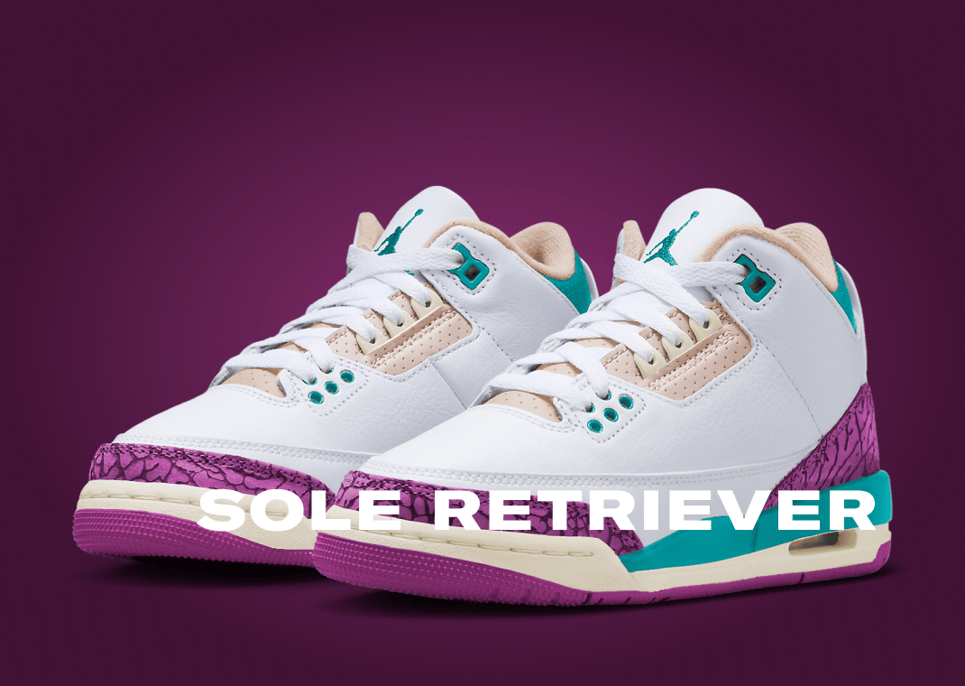 Air Jordan 3 Retro Joker (GS)