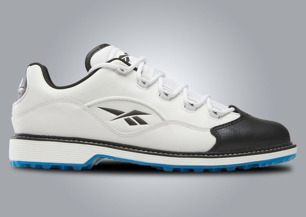 REEBOK Question Low – Stadium Goods