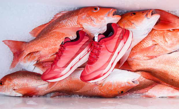 Sneaker Politics x adidas HRMY Red Snapper