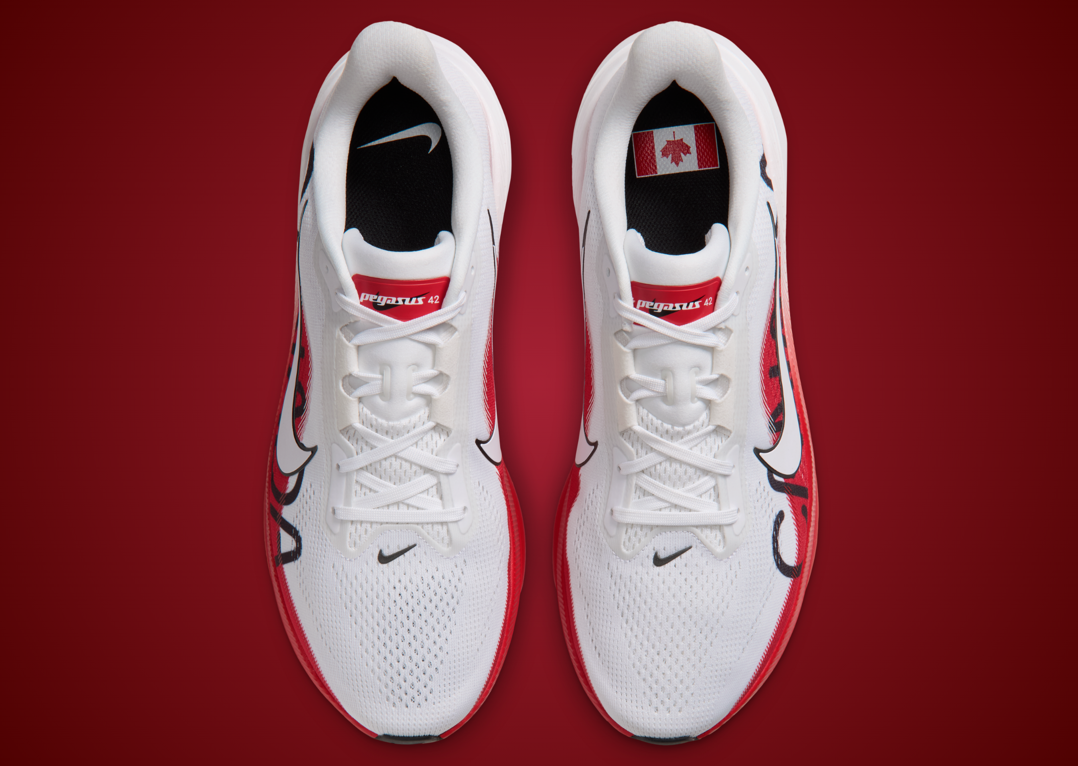 Nike Pegasus 42 Canada