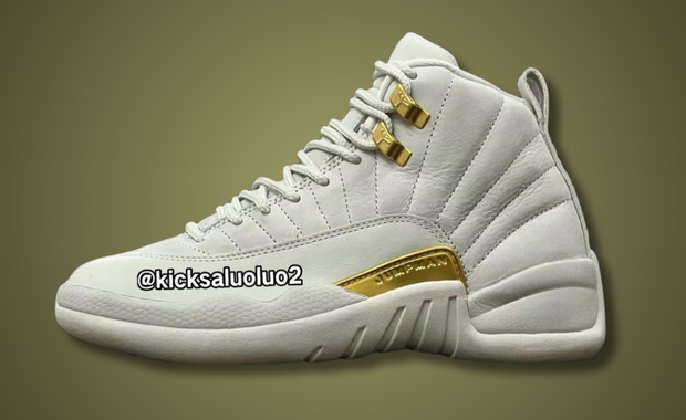 Air Jordan 12 Retro Phantom (W)