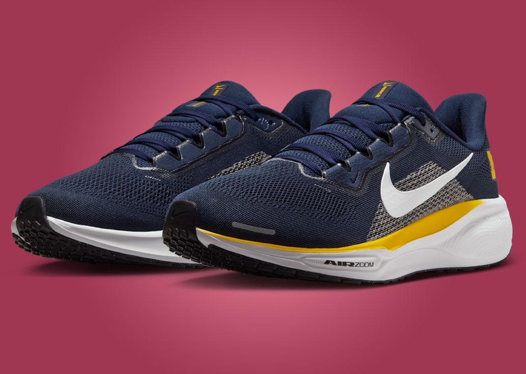 NCAA x Nike Pegasus 41 Michigan Angle
