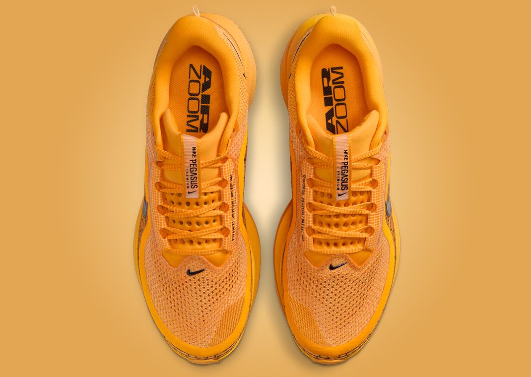 Nike Pegasus Premium Modern Mayfly Top