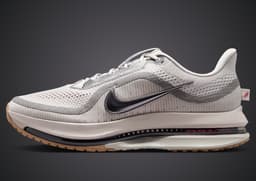 Nike Pegasus Premium Now and Then - Lateral