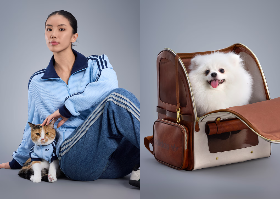 adidas Pet Collection Drop 2