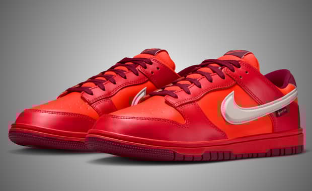 Nike Dunk Low Gore-Tex Light Crimson