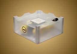 Nike LeBron 23 Elite Hurt Feelings Write History - Box