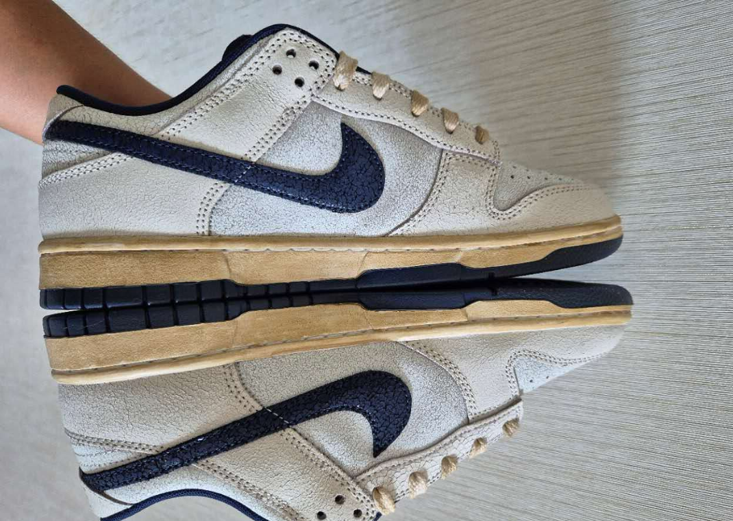 Stranger Things x Nike Dunk Low Phantom Medial