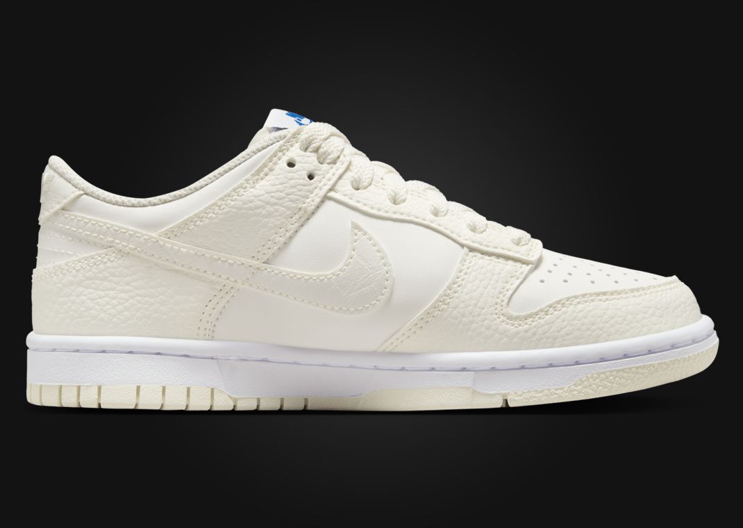 Nike Dunk Low SE Back To School Sail (GS) Medial
