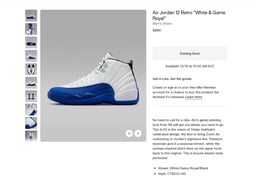Where to Buy the Air Jordan 12 Retro Blueberry
