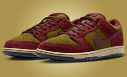 The Nike SB Dunk Low Dark Team Red Olive Flak Releases Fall 2025