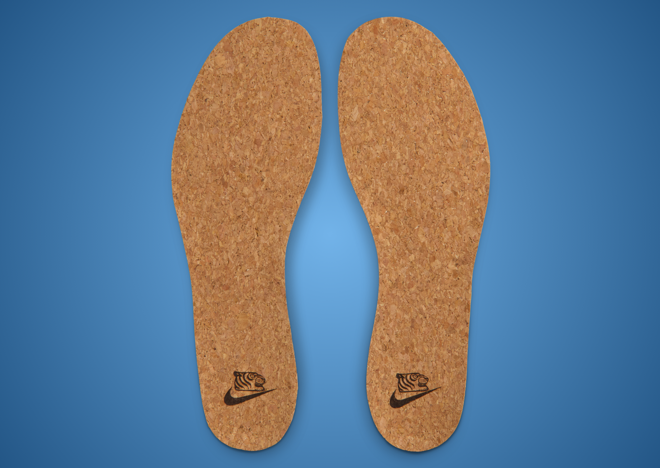 SOULGOODS x Nike Homescape Woven Blue Beyond - Insoles