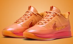 The Nike Book 2 Phoenix Rises From the Ashes