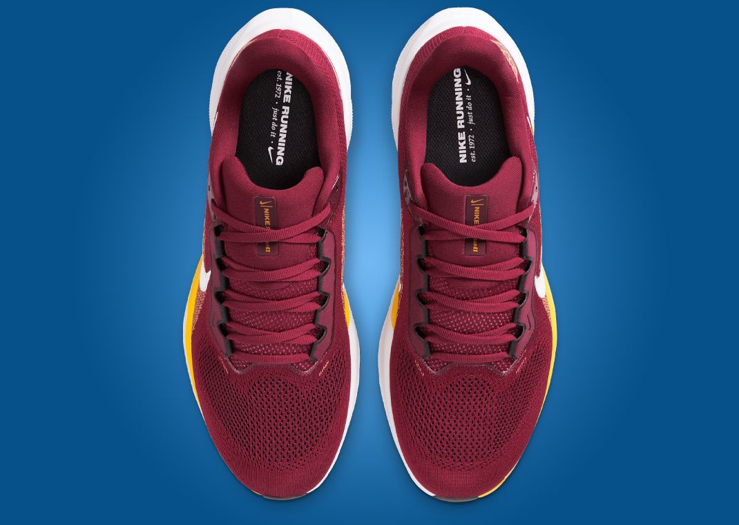 NFL x Nike Pegasus 41 Washington Commanders Top
