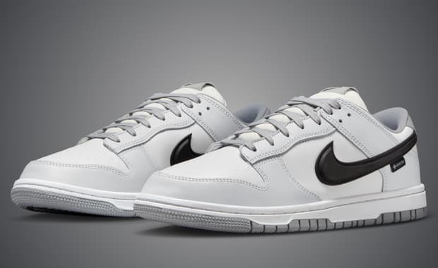 Nike Dunk Low Gore-Tex Summit White