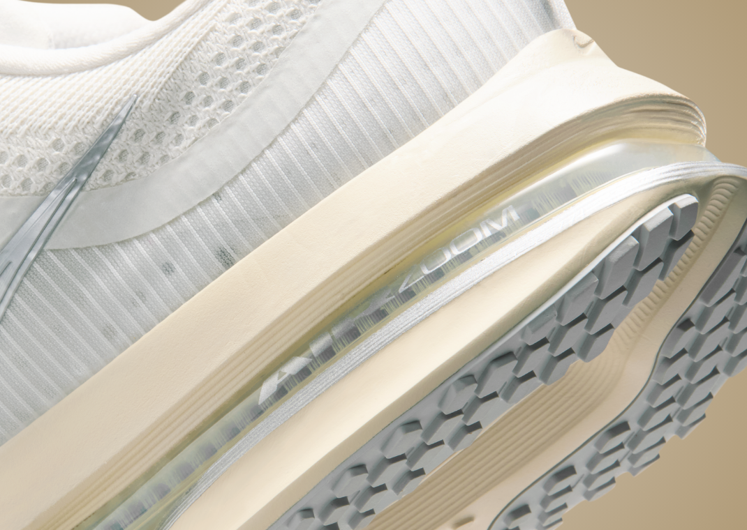 Nike Pegasus Premium Running is Mental - Heel Detail