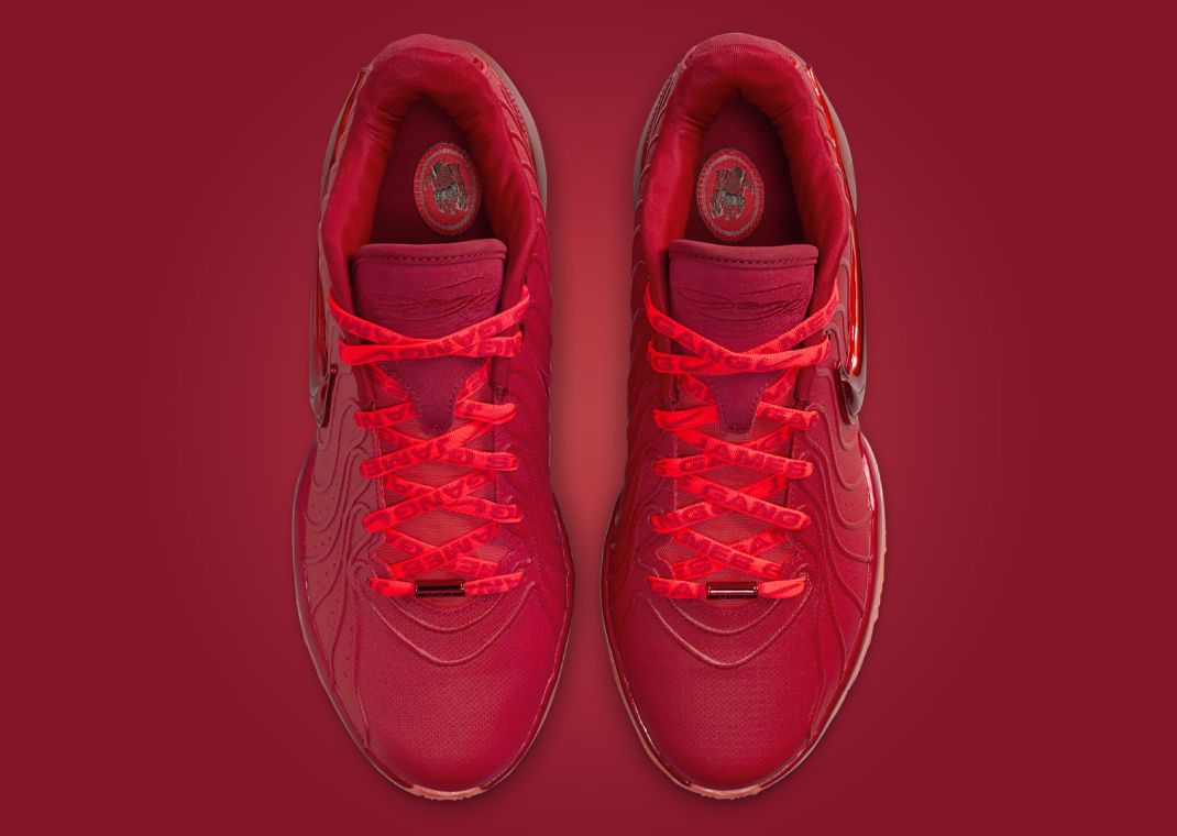 Nike LeBron 21 Devotion Top