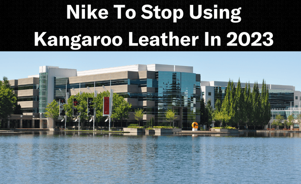 Nike Will No Longer Use Kangaroo Leather On Its Soccer Cleats