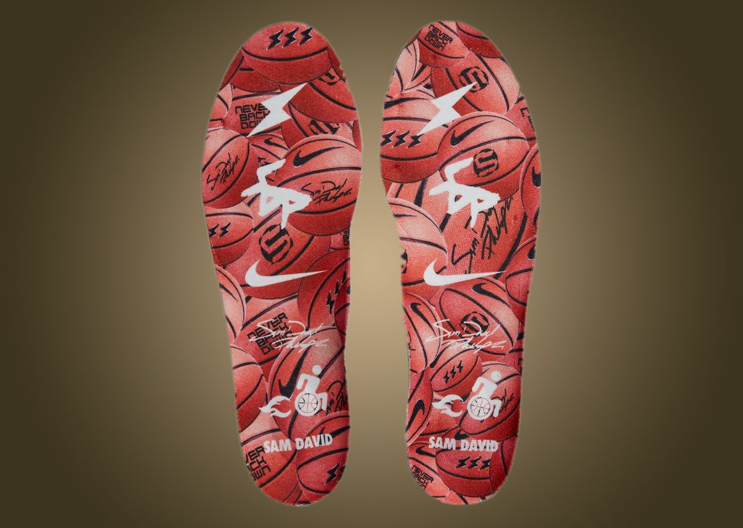 Official Look Nike LeBron 19 Doernbecher