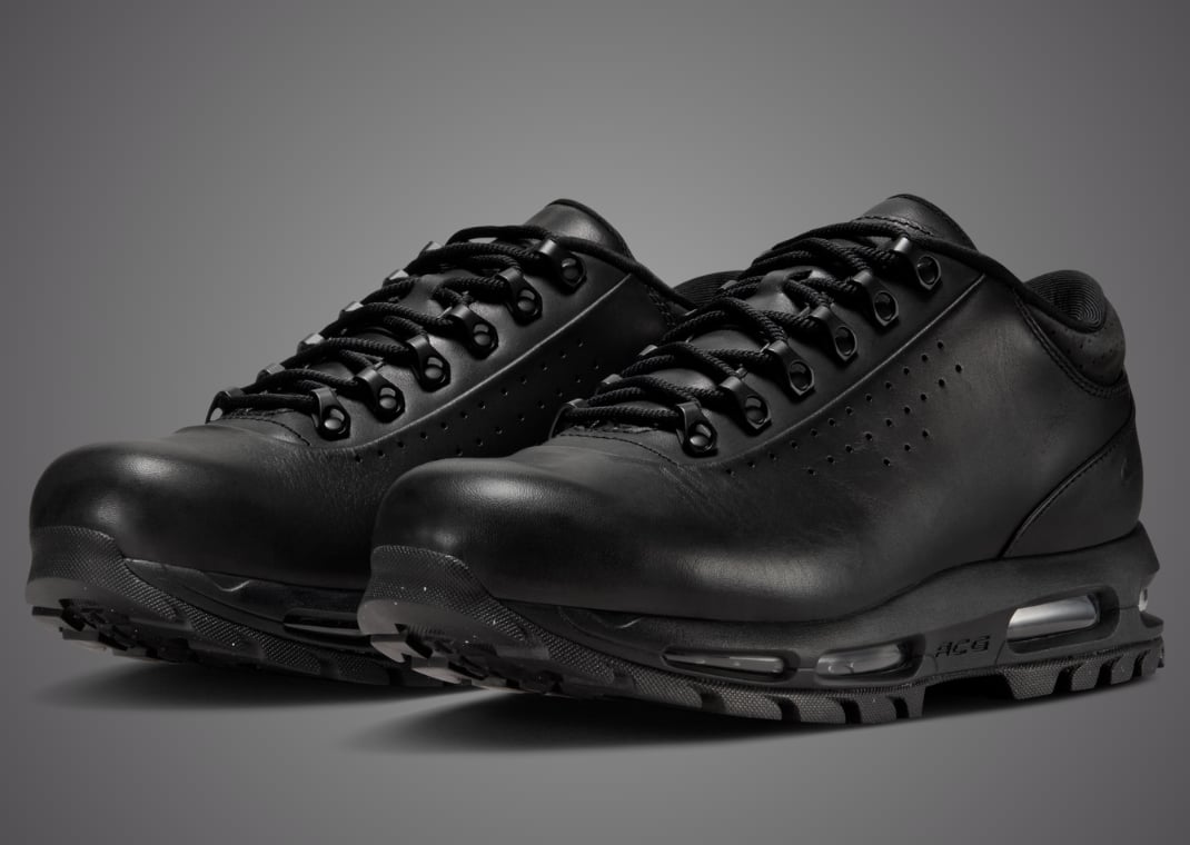 Nike Air Max Goadome Low Black