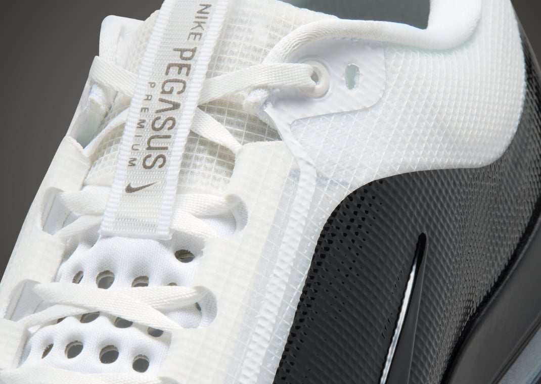 Nike Pegasus Premium SP Pack