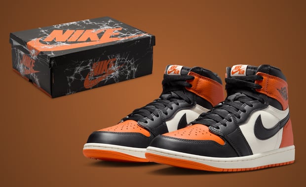 Air Jordan 1 Retro High OG Shattered Backboard