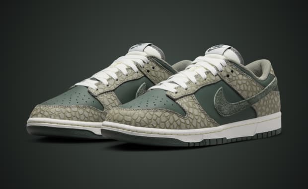 Nike Dunk Low Premium Urban Landscape 2.0
